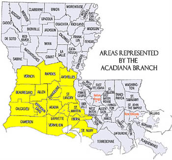 Which twig would best represent Acadiana in the legislature? : r/Acadiana